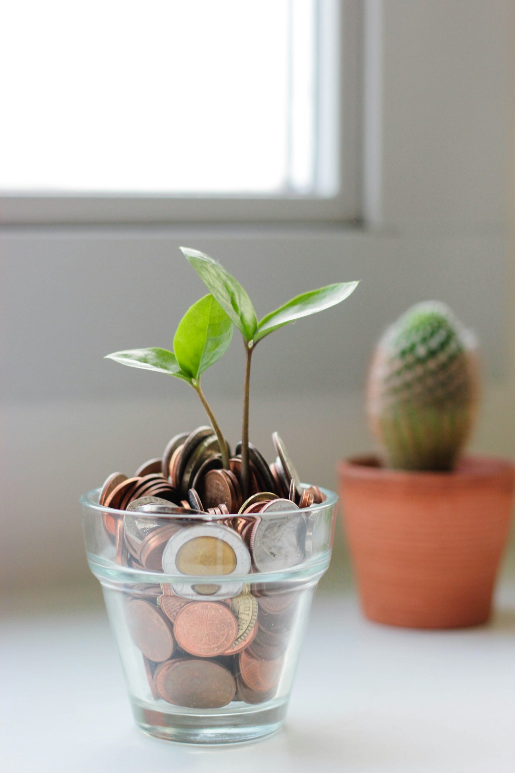 What Does the Bible Say About Money? A Biblical Perspective